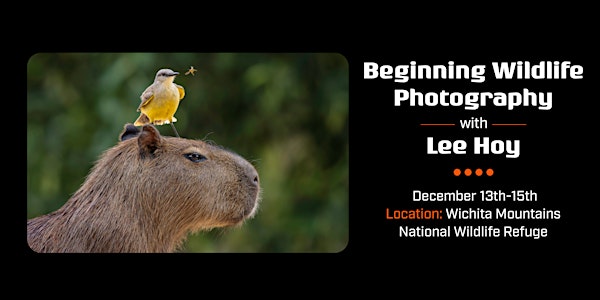 Wildlife Photography Excursion with Lee Hoy