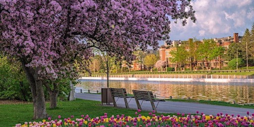 Imagem principal do evento Henry's Ottawa Spring Photo Walk