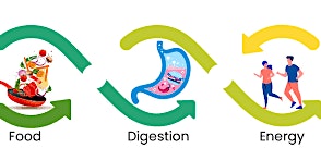 All about Food Digestion and Energy! primary image