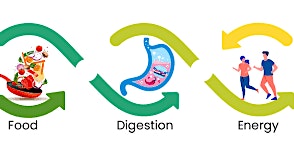 Hauptbild für All about Food Digestion and Energy!