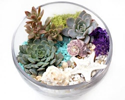 Imagem principal do evento Plant Nite: Make a Succulent Terrarium