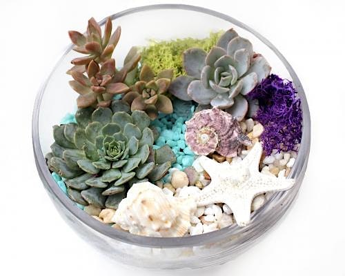 Imagem principal do evento Plant Nite: Make a Succulent Terrarium