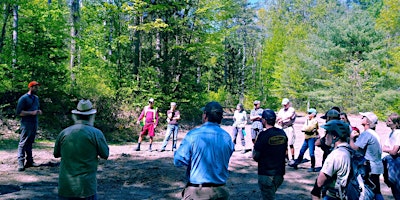 Imagen principal de Bioblitz at Brattleboro Watershed Forest