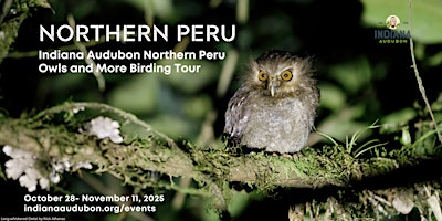 Indiana Audubon 2025 Northern Peru Tour