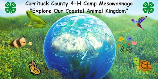 Imagem principal do evento Summer Day Camp 2024 - Week 4-Knotts Island