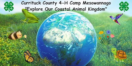 Summer Day Camp 2024 - Week 4-Knotts Island