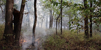 Cross Timbers Forest & Range Management Field Day primary image