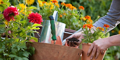 Explore the garden world, start green living - gardening skills enhancement training primary image