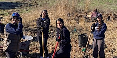 Image principale de Womxn in the Weeds - Volunteer Workday at Pearson-Arastradero Preserve