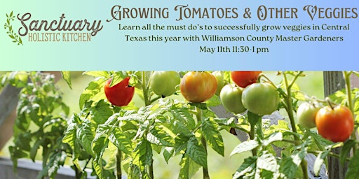 Imagem principal do evento Growing Tomatoes & Other Veggies in Central Texas