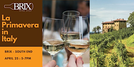 La Primavera in Italy - Wine Tasting