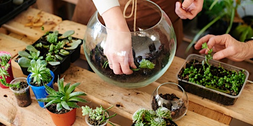 Make Your Own Terrarium Workshop | Leawood primary image