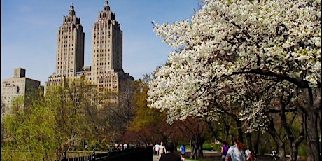 Central Park Spring Social Walk For 50+