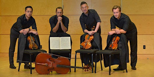 Primaire afbeelding van Rose Gellert String Quartet