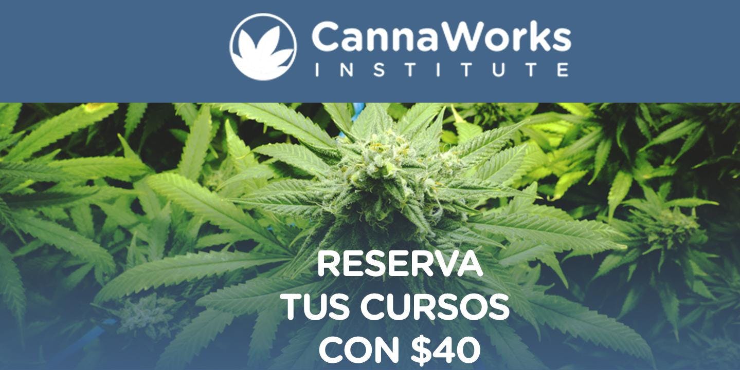 RESERVA | Cannabis Training Camp | 19 & 20 de Octubre | CannaWorks Institute 