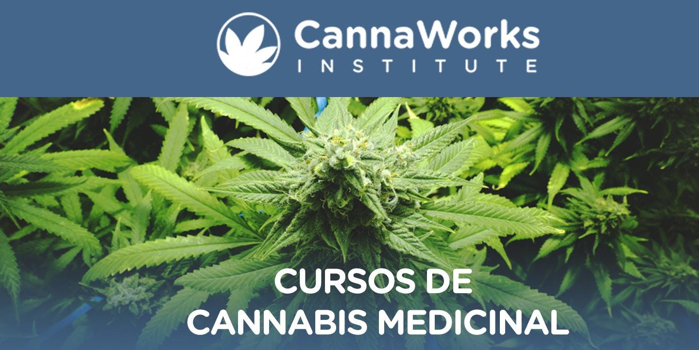 Cannabis Training Camp | 19 Y 20 de Octubre | CannaWorks Institute 