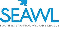 Hauptbild für South East Animal Welfare League - High Tea at Blue Lake Bar & Bistro