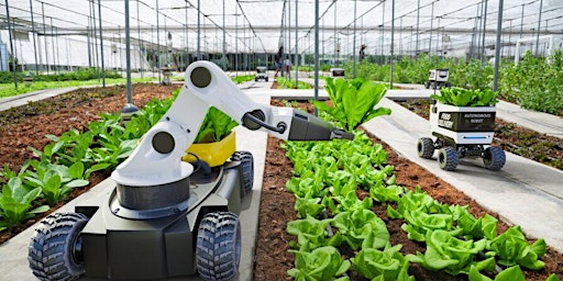 Primaire afbeelding van JUICE Money USDA SBIR/STTR: How to Raise $700K + For Agri-Tech Innovations