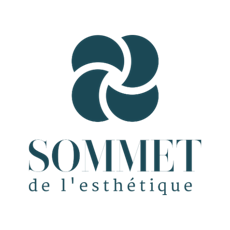 Le Sommet De L'esthetique