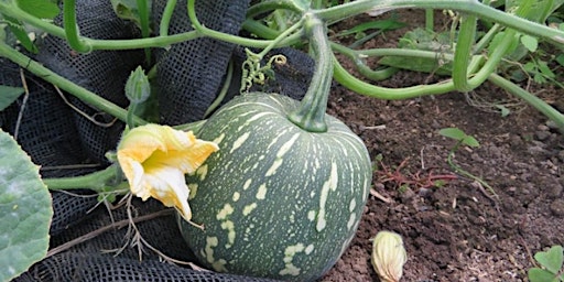 Composting Workshop  primärbild