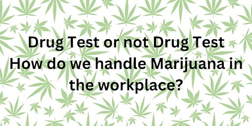 Image principale de Drug Test or not Drug Test - How do we handle Marijuana in the workplace?