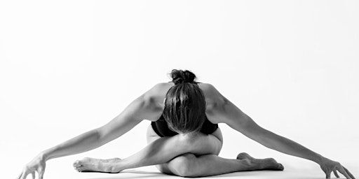 Theories of Yoga Therapy  primärbild