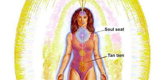 Image principale de Energy Healing Techniques , Hands of Light Workshop ,  Brennan  Science