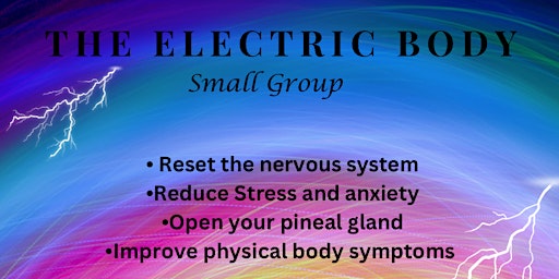 Primaire afbeelding van The electric body- spinal energetics
