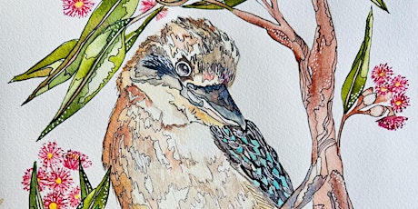 Watercolour and ink illustration - Kookaburra