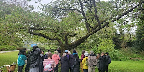 Stanley Park Poetry Walkabout