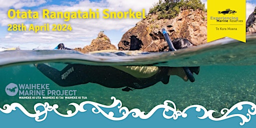 Imagem principal do evento Otata Rangatahi Snorkel (new date)