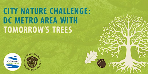 Imagem principal do evento Intro to tree ID with Tomorrow’s Trees: A City Nature Challenge Event