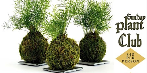 Primaire afbeelding van Kokedama Workshop with Unpotted and VCBC