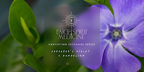 Harvesting Exchange Series: Sorcerer's Violet & Dandelion