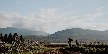 Terroir Dinner (a five course dinner and a farm to primary image