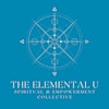 Logotipo da organização The Elemental U
