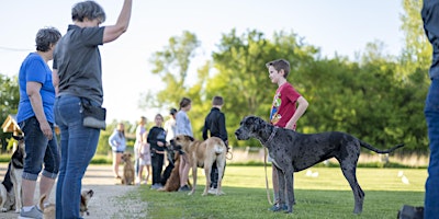 Primaire afbeelding van Dog Training Workshop in the Park