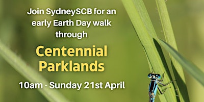 Centennial Park Walk with Sydney SCB primary image