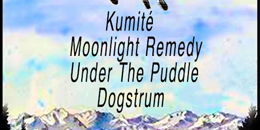 Primaire afbeelding van Kumite