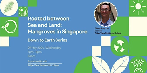 Hauptbild für Rooted between Sea and Land: Mangroves in Singapore  | Down to Earth