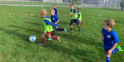 Hauptbild für VfB Sommercamp