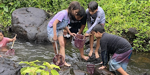 Primaire afbeelding van 2024 Hoʻokahua Summer Program Session 4 (Currently in 6-8th grade)