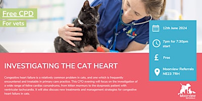 Imagem principal do evento Investigating the Cat Heart