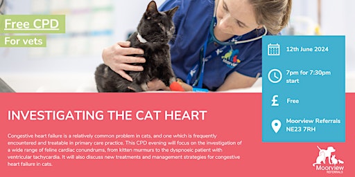 Primaire afbeelding van Investigating the Cat Heart