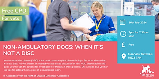 Non-Ambulatory Dogs: When It's Not A Disc primary image