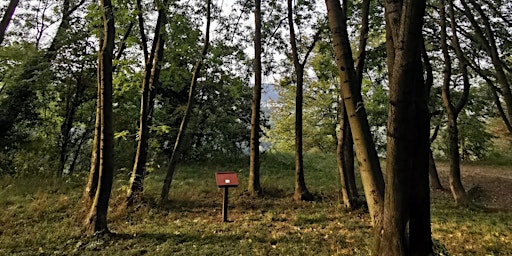 Imagem principal de Un ponte tra poesia, scienza e natura