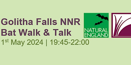 Golitha Falls Bat Walk & Talk