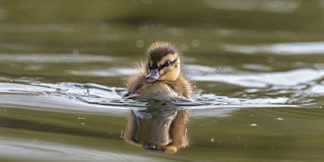 Youth Wildlife Photography Workshop (Must be accompanied by an adult)