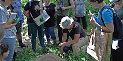 Hauptbild für Initiation récolte/tri de graines sauvages