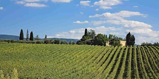 Lode alle colline toscane primary image